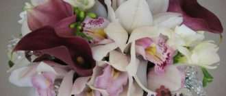 Роскошь и изящество: букеты из орхидей
